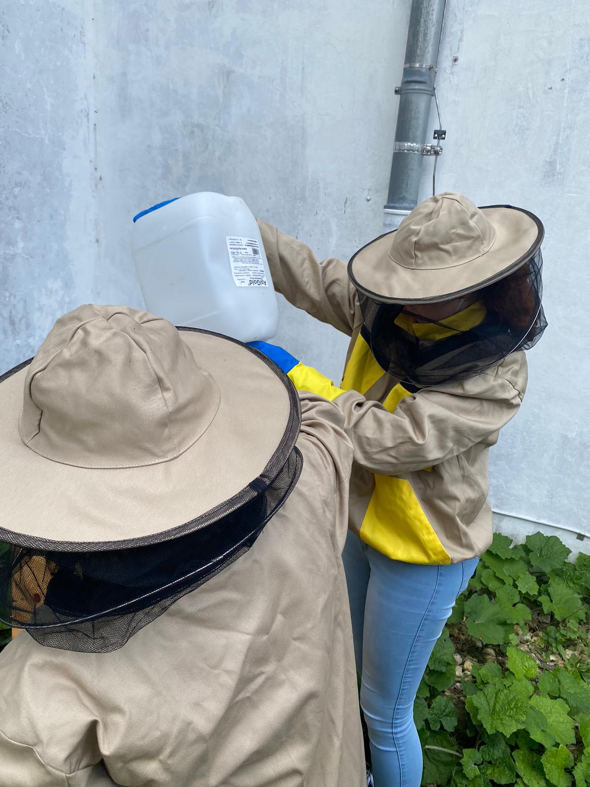 Bienen-Projekt